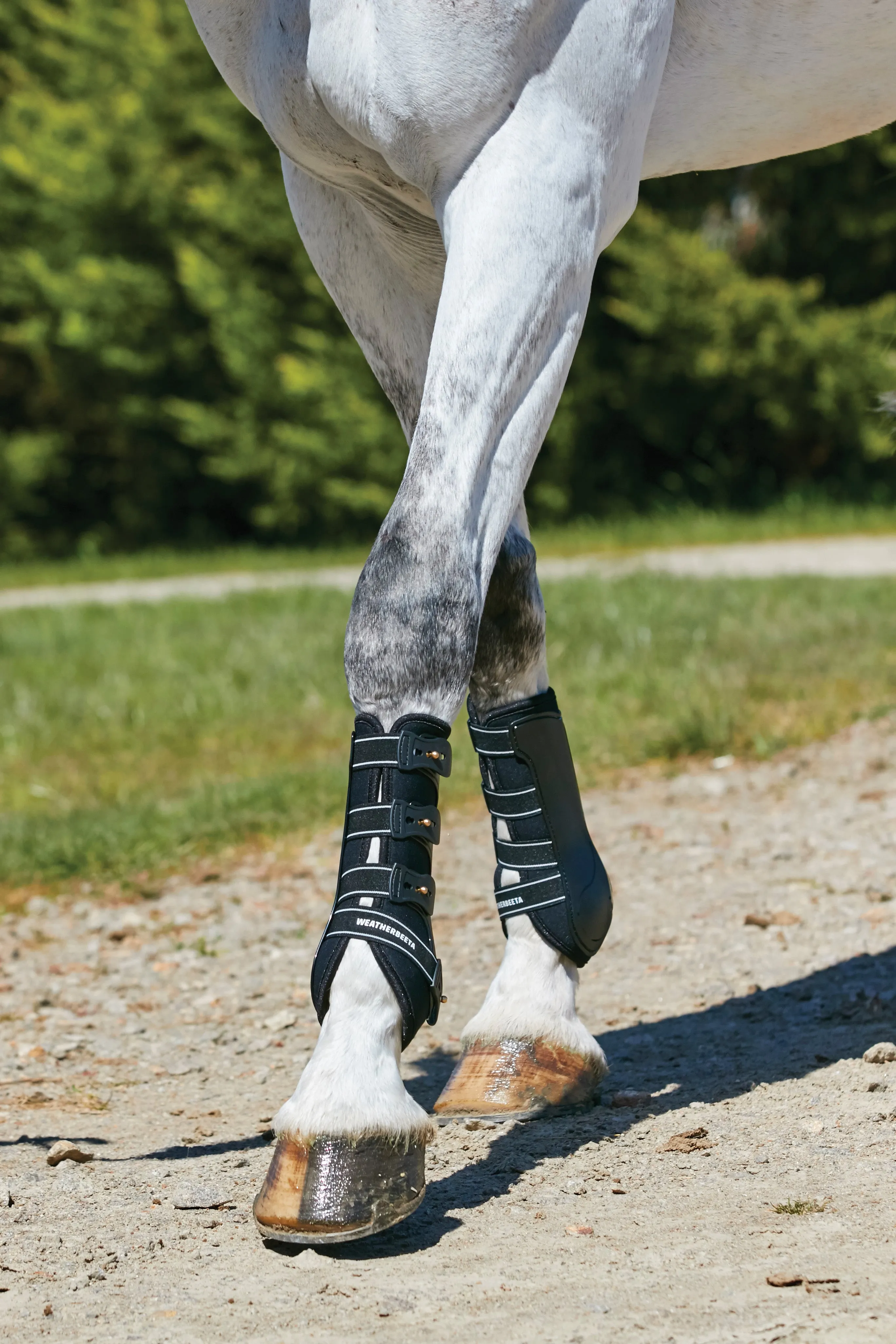 Weatherbeeta Hard Shell Dressage Boots